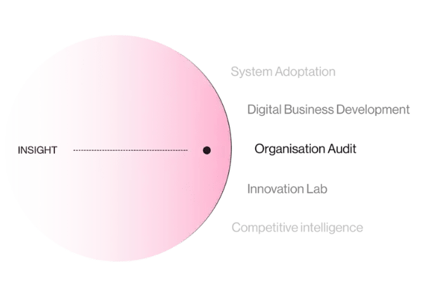 Leadfront works with Organisation Audits