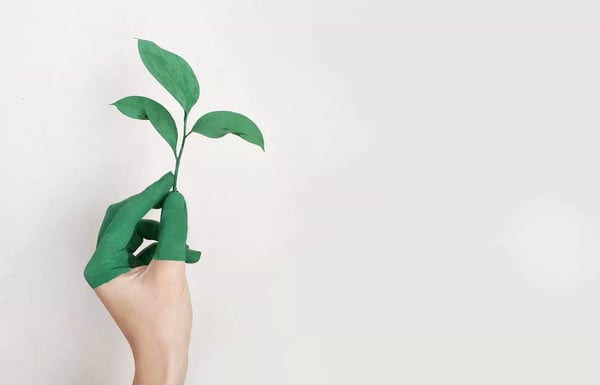 The image shows a human hand holding a small, green plant with two leaves. The background is plain and light-colored, providing a simple backdrop that contrasts with the green of the plant.