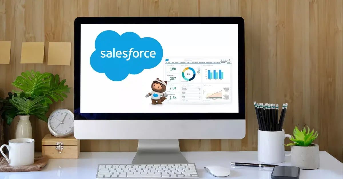 System picture Salesforce partner